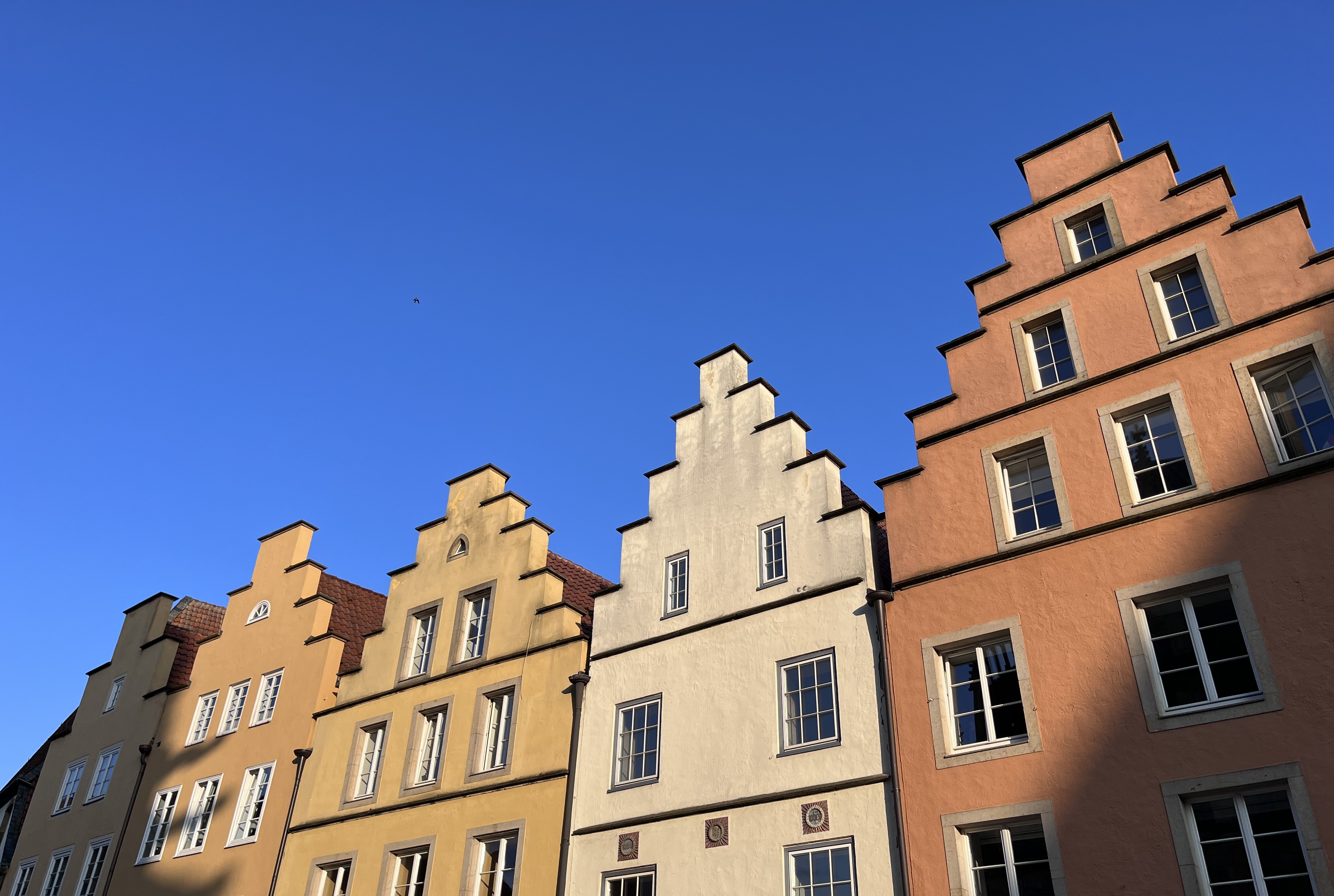  Photo taken by Lilli Güssow